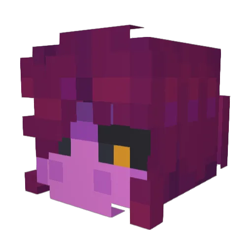 IceBirdTheDigger Minecraft avatar head, 3D render
