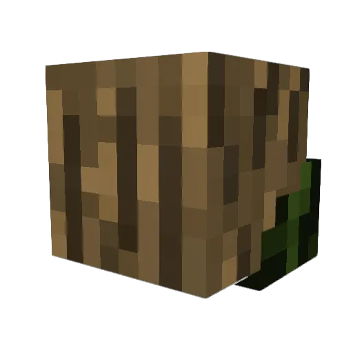 IceBork Minecraft avatar head, 3D render