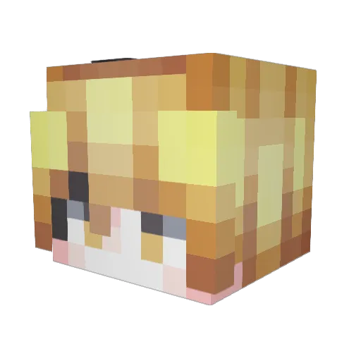 IceF4ry_ Minecraft avatar head, 3D render