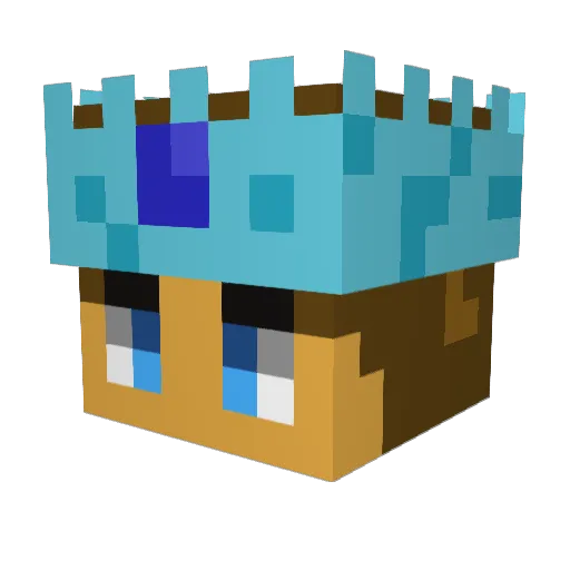 IceKing6842 Minecraft avatar head, 3D render