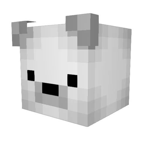 IcePolarBBY00 Minecraft avatar head, 3D render