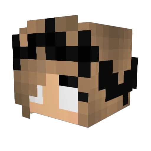 IcePrincess211 Minecraft avatar head, 3D render
