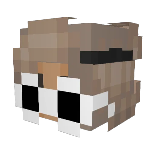 IcePrincess45 Minecraft avatar head, 3D render