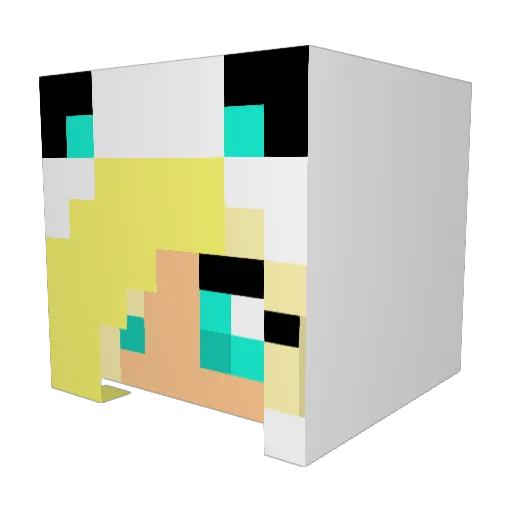 IceQueenGirl135 Minecraft avatar head, 3D render