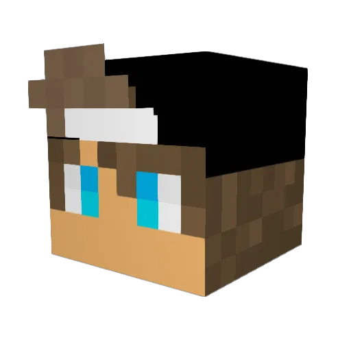 IceSkullz Minecraft avatar head, 3D render