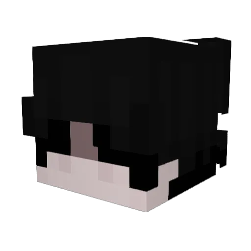 IceSushi Minecraft avatar head, 3D render
