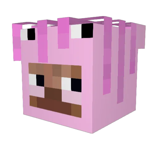 IceWalowKum Minecraft avatar head, 3D render