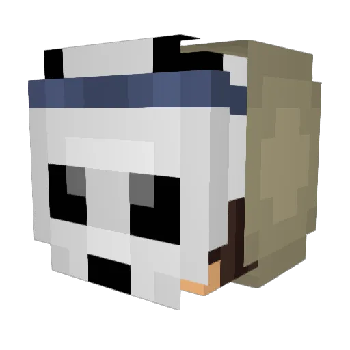 IceWaveYT Minecraft avatar head, 3D render
