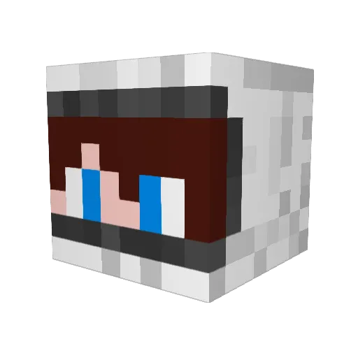 Ice_Ninjaa Minecraft avatar head, 3D render
