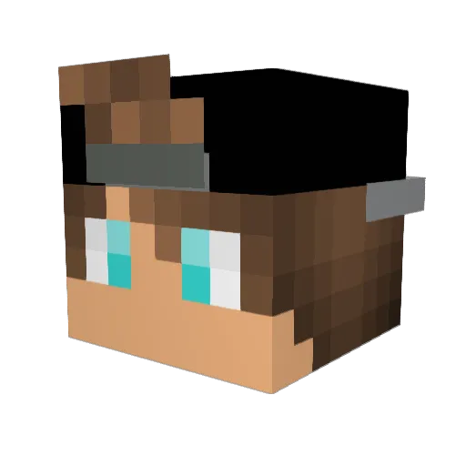 Ice_Reiter Minecraft avatar head, 3D render