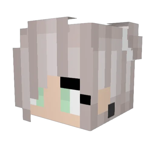 Ice_Tea666 Minecraft avatar head, 3D render
