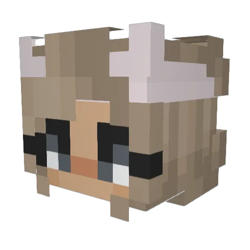 Ice_Tea__O_OII Minecraft avatar head, 3D render
