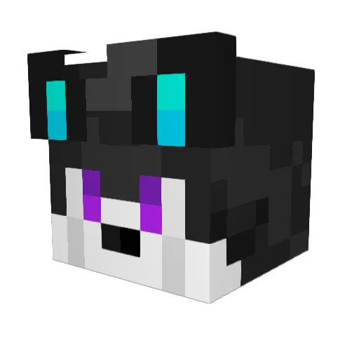 Ice_Wolf9 Minecraft avatar head, 3D render