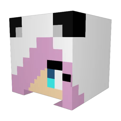 Icebeargaming54 Minecraft avatar head, 3D render