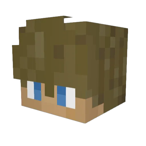 Icebud717 Minecraft avatar head, 3D render