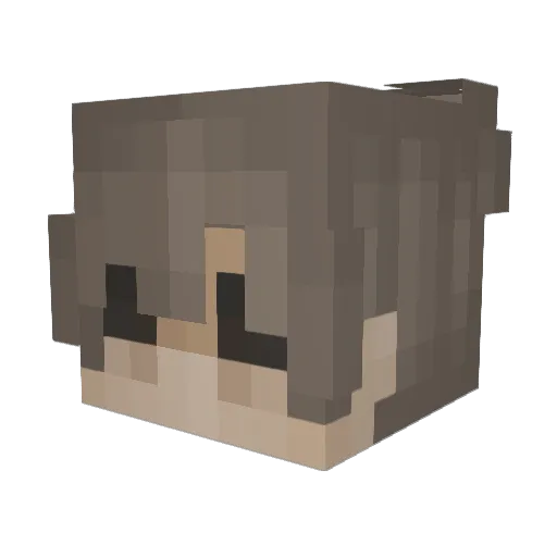 Icecube1433 Minecraft avatar head, 3D render