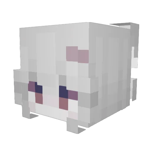IcedGlace Minecraft avatar head, 3D render