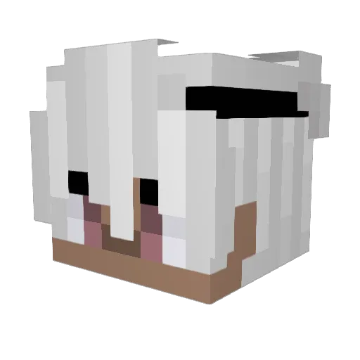 IcedOutKing Minecraft avatar head, 3D render