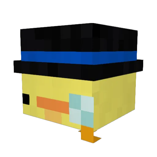 IcedRhyme Minecraft avatar head, 3D render
