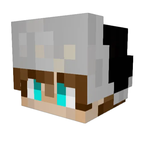 IcedTea_Addict Minecraft avatar head, 3D render