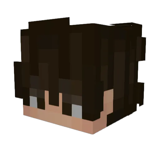 IcedTester Minecraft avatar head, 3D render
