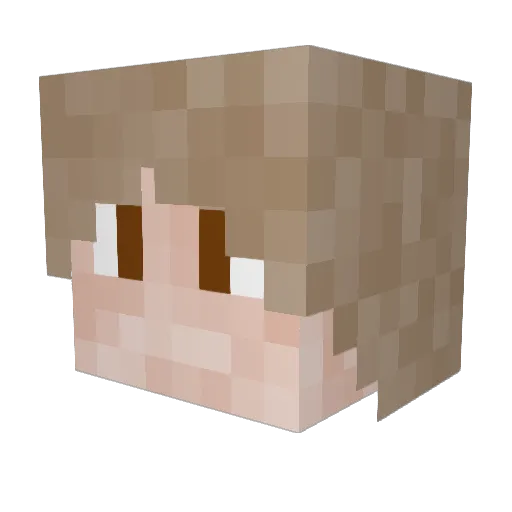 Icefire1307 Minecraft avatar head, 3D render