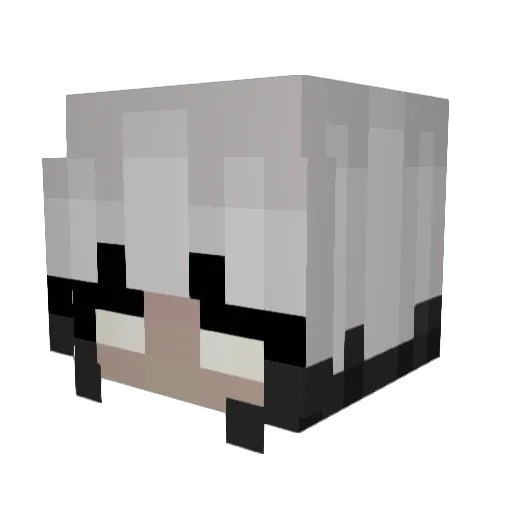 Icefox1002 Minecraft avatar head, 3D render