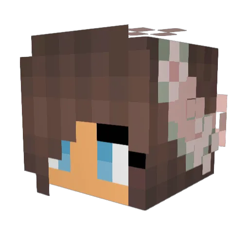 Icehorse22 Minecraft avatar head, 3D render
