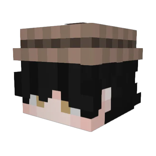 Iceleyd Minecraft avatar head, 3D render