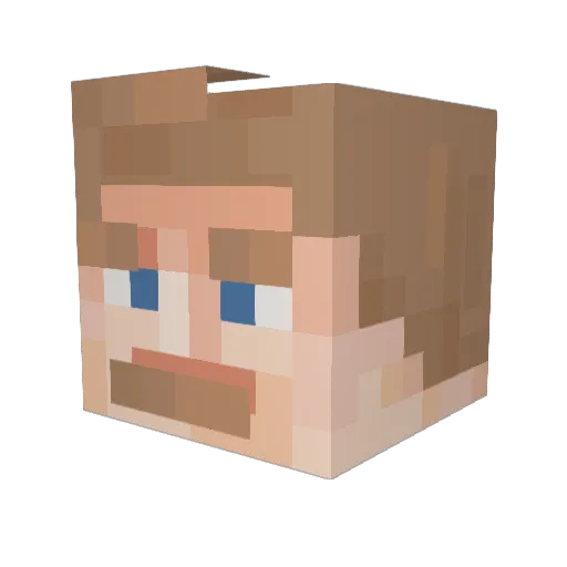 IcemanDue6988 Minecraft avatar head, 3D render