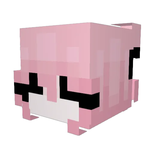 Icepantsz Minecraft avatar head, 3D render