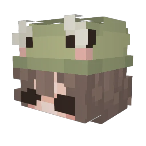 Iceprincess1579 Minecraft avatar head, 3D render