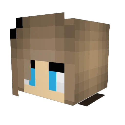Iceprincess91 Minecraft avatar head, 3D render