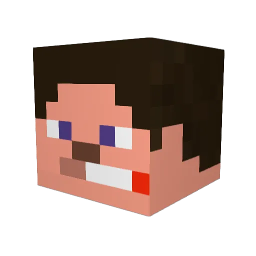 Iceroman14 Minecraft avatar head, 3D render