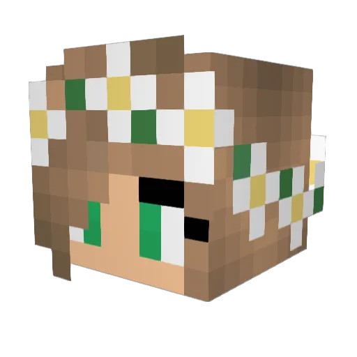 Icesrith Minecraft avatar head, 3D render