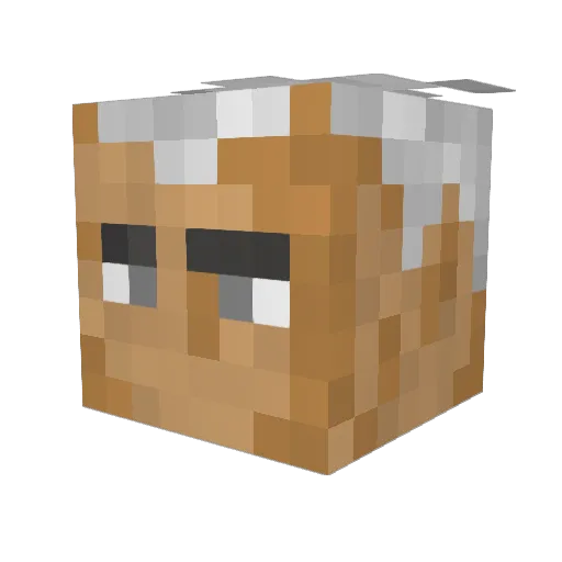 Icetopp Minecraft avatar head, 3D render