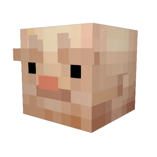 Icetower19 Minecraft avatar head, 3D render