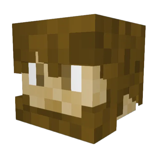 Iceulater Minecraft avatar head, 3D render