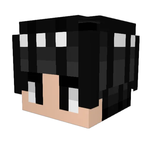 Icewaterv2 Minecraft avatar head, 3D render
