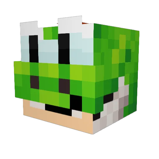 Icewolfminer7 Minecraft avatar head, 3D render