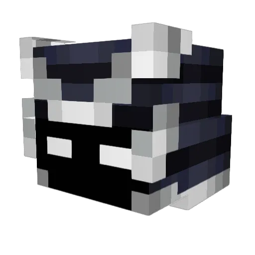 IceyEJ Minecraft avatar head, 3D render
