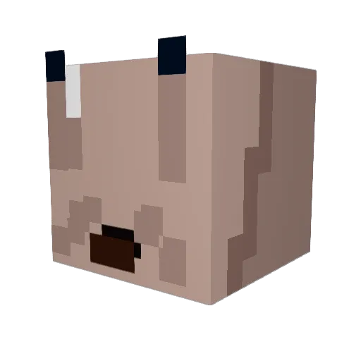 IceyZeno Minecraft avatar head, 3D render