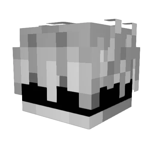 Icezin007 Minecraft avatar head, 3D render
