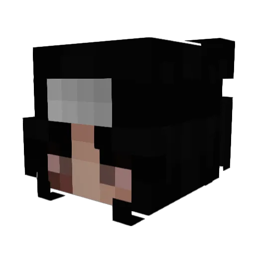 IchBeissInsGras Minecraft avatar head, 3D render