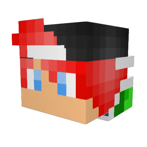 IchBims1NicerBoi Minecraft avatar head, 3D render