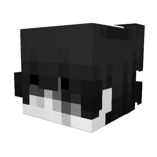 IchBinCarl Minecraft avatar head, 3D render