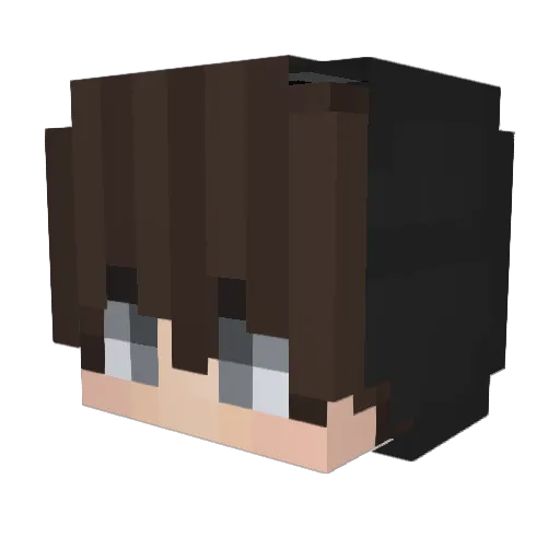 IchBinJakobOG Minecraft avatar head, 3D render