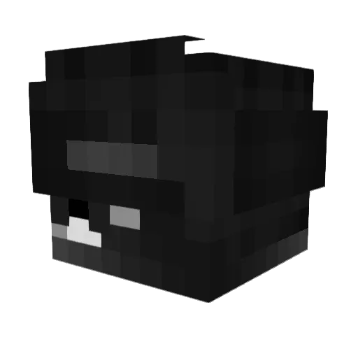 IchBinUnfair Minecraft avatar head, 3D render