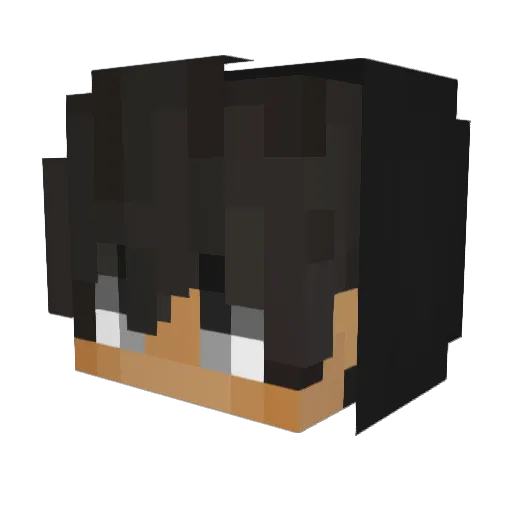 IchBoxeNeggerUm Minecraft avatar head, 3D render