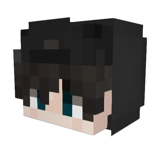 IchHasseTelekom Minecraft avatar head, 3D render